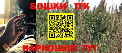 гидра Шахты
