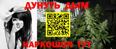 гидра Шахты