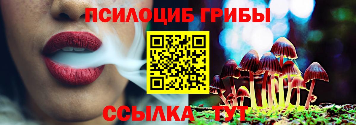 Псилоцибиновые грибы прущие грибы  Вход с VPN  Киселёвск 